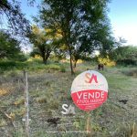 Redes sociales enero propiedades 9 EMI c