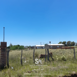 lotes-en-winifreda-2