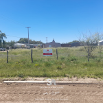lotes-en-winifreda-3