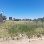 lotes-en-winifreda-4