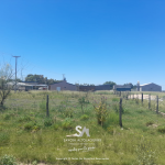 lotes-en-winifreda-5