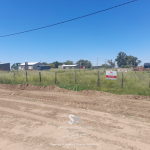 lotes-en-winifreda-6