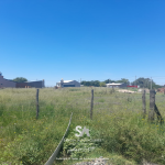 lotes-en-winifreda-7