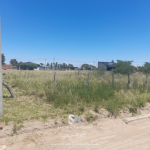 lotes-en-winifreda-8