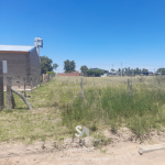 lotes-en-winifreda-9