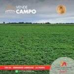 Portada(2) (1)