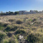 IMG-20250521-WA0088