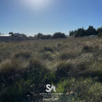 IMG-20250521-WA0090