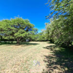a8e16542-3ca5-487b-ad23-95d1616424bf