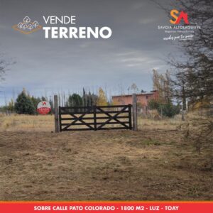 Terreno - Toay