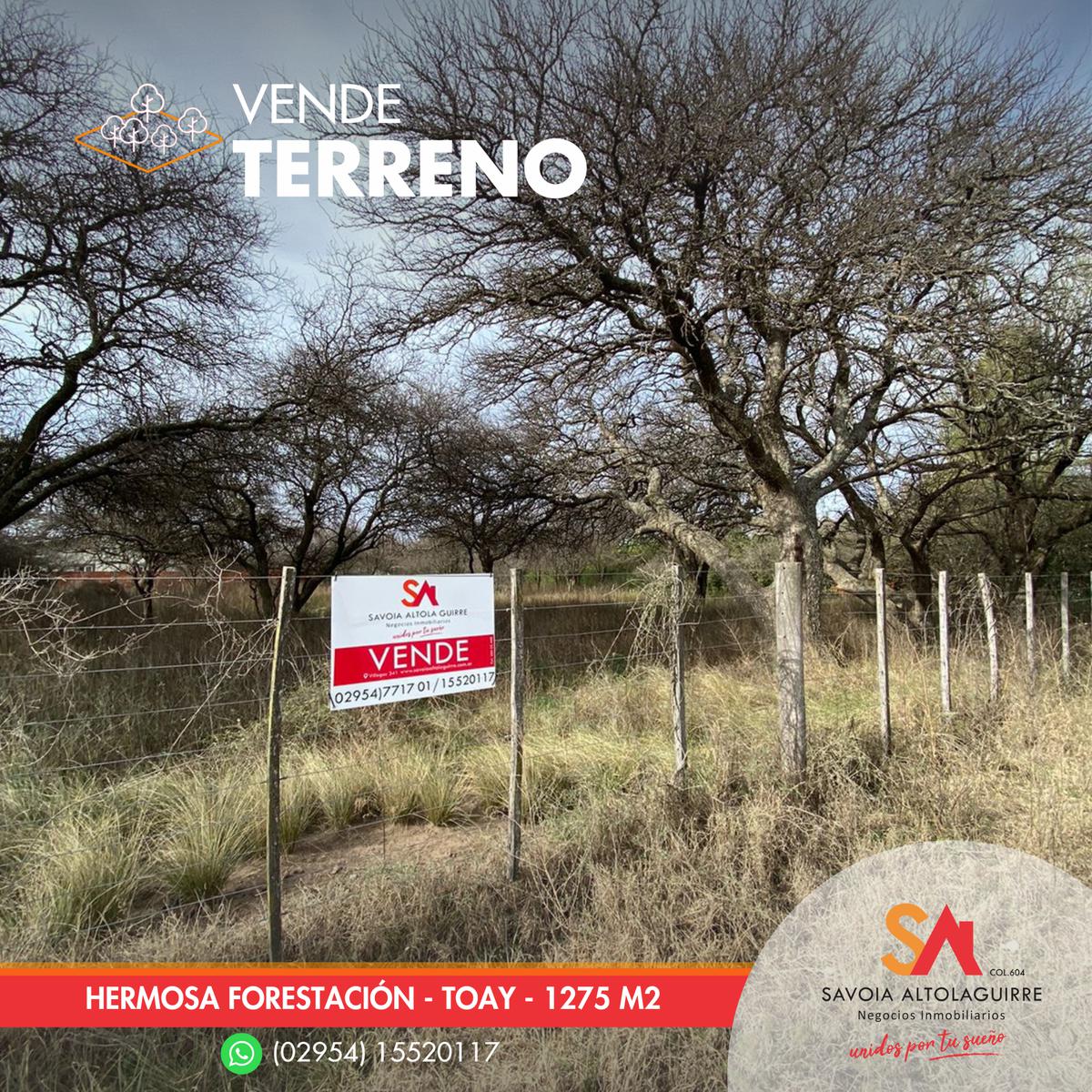 VENDE: 2 TERRENOS CON HERMOSA FORESTACION EN TOAY