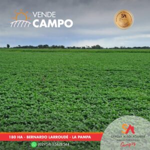 VENDE: CAMPO de 180 hectáreas. Ubicadas en Bernardo Larroudé, departamento Chapaleufú, La Pampa