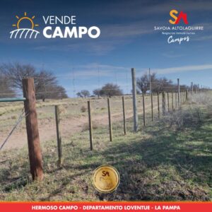 VENDE: ¡HERMOSO COTO DE CAZA EN LA PAMPA!