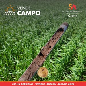 VENDE: CAMPO AGRÍCOLA de 430 hectáreas. Ubicado en el partido de Trenque Lauquen, provincia de Buenos Aires