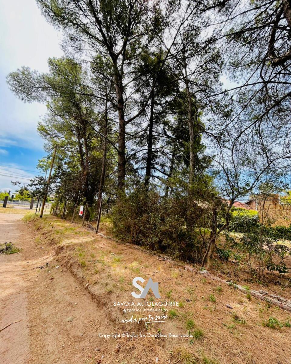 VENDE: EXCELENTE TERRENO EN UBICACIÓN PRIVILEGIADA - Imagen 3