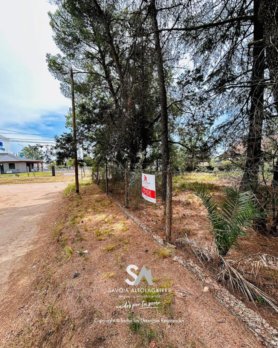 VENDE: EXCELENTE TERRENO EN UBICACIÓN PRIVILEGIADA - Imagen 4