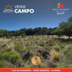 VENDE: CAMPO GANADERO de 1.650 hectáreas. Ubicado en la zona de Carro Quemado, departamento Loventué, La Pampa