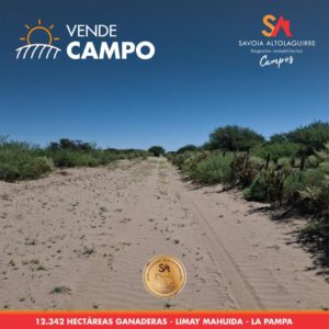 VENDE: CAMPO ganadero de 12.342 hectáreas en Limay Mahuida, La Pampa.