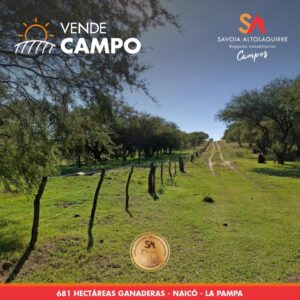 VENDE: CAMPO mixto de 681 hectáreas en Naicó, La Pampa