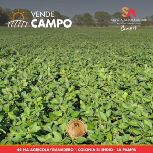VENDE: CAMPO AGRÍCOLA/GANADERO de 44 hectáreas. Ubicado en Colonia el Indio, departamento Capital, provincia de La Pampa