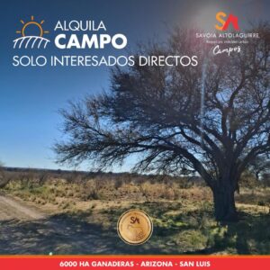 ALQUILA: CAMPO ganadero de 6000 hectáreas en Arizona, San Luis.