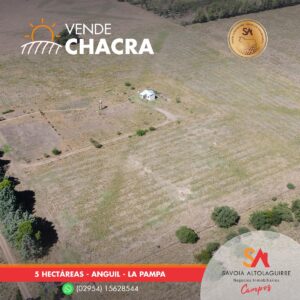 VENDE: CHACRA de 5 hectáreas en Anguil, departamento Capital, La Pampa