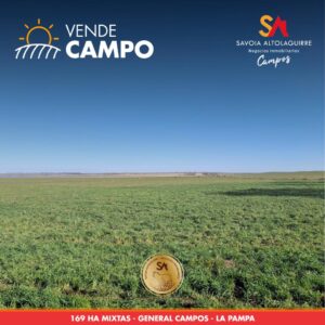 VENDE: CAMPO AGRÍCOLA/GANADERO de 169 hectáreas. Ubicado al noreste de General Campos, departamento Guatraché, provincia de La Pampa