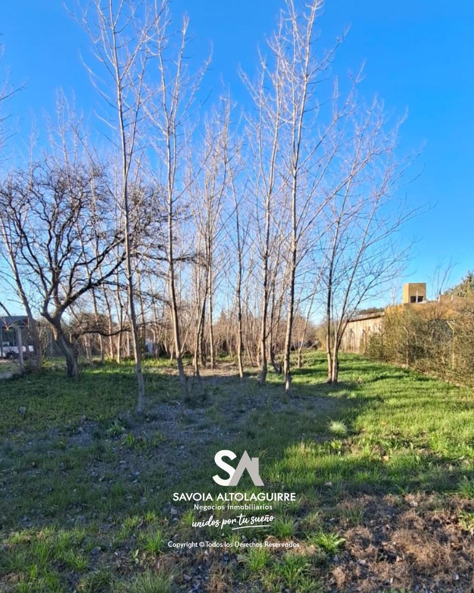 Terreno en Lowo Che - Imagen 2