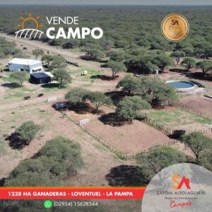 VENDE: CAMPO ganadero de 1.238 hectáreas en Loventuel, La Pampa